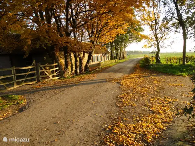 't Heeske huren in Nederland, Limburg, Sevenum - vakantiehuis In de herfst