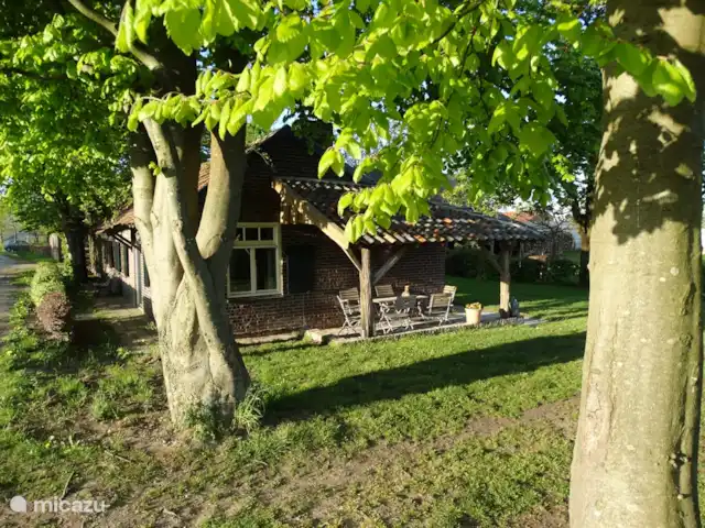 't Heeske huren in Nederland, Limburg, Sevenum - vakantiehuis Gezellig overdekt terras aan de zijkant van de woning met wijds uitzicht over de uitgestrekte akkers en weilanden met koeien.