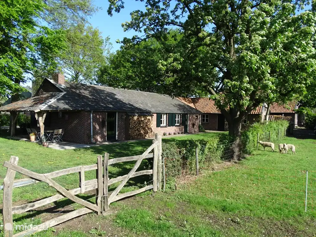 Arrière du chalet, avec grand jardin.
A droite aux tuiles rouges, l'ancien fournil, qui est également à votre disposition durant votre séjour.