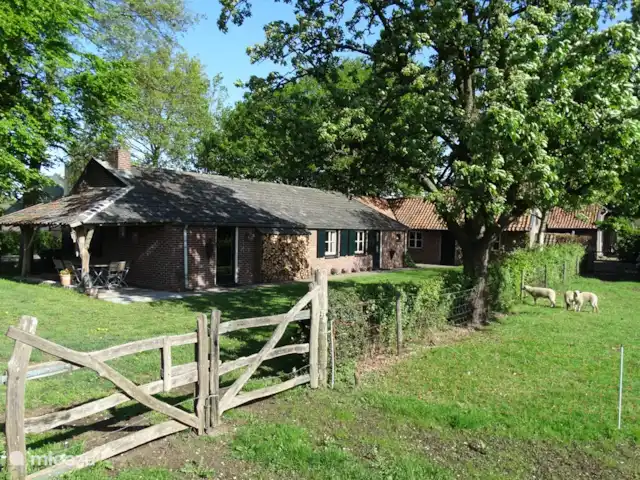 't Heeske huren in Nederland, Limburg, Sevenum - vakantiehuis Achterzijde van het vakantiehuisje, met grote tuin.
Rechts met de rode pannen het oude bakhuisje, dat ook tot uw beschikking staat tijdens uw verblijf.