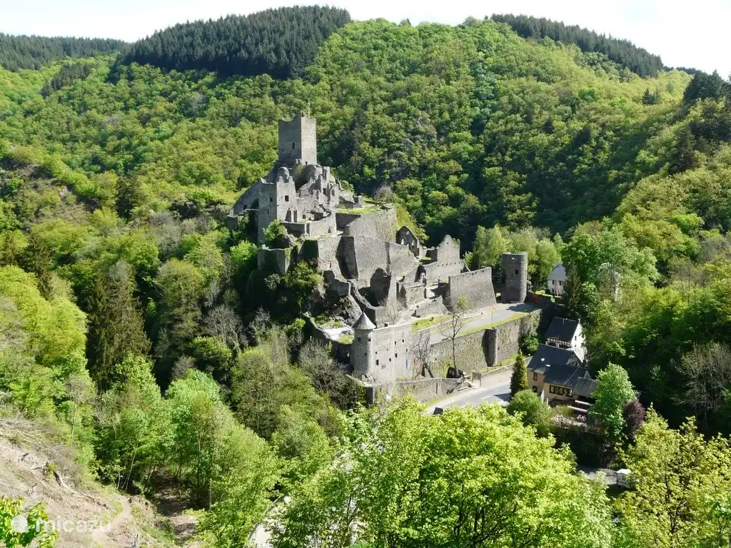 http://www.niederburg-manderscheid.de/ Los castillos de Manderscheid.