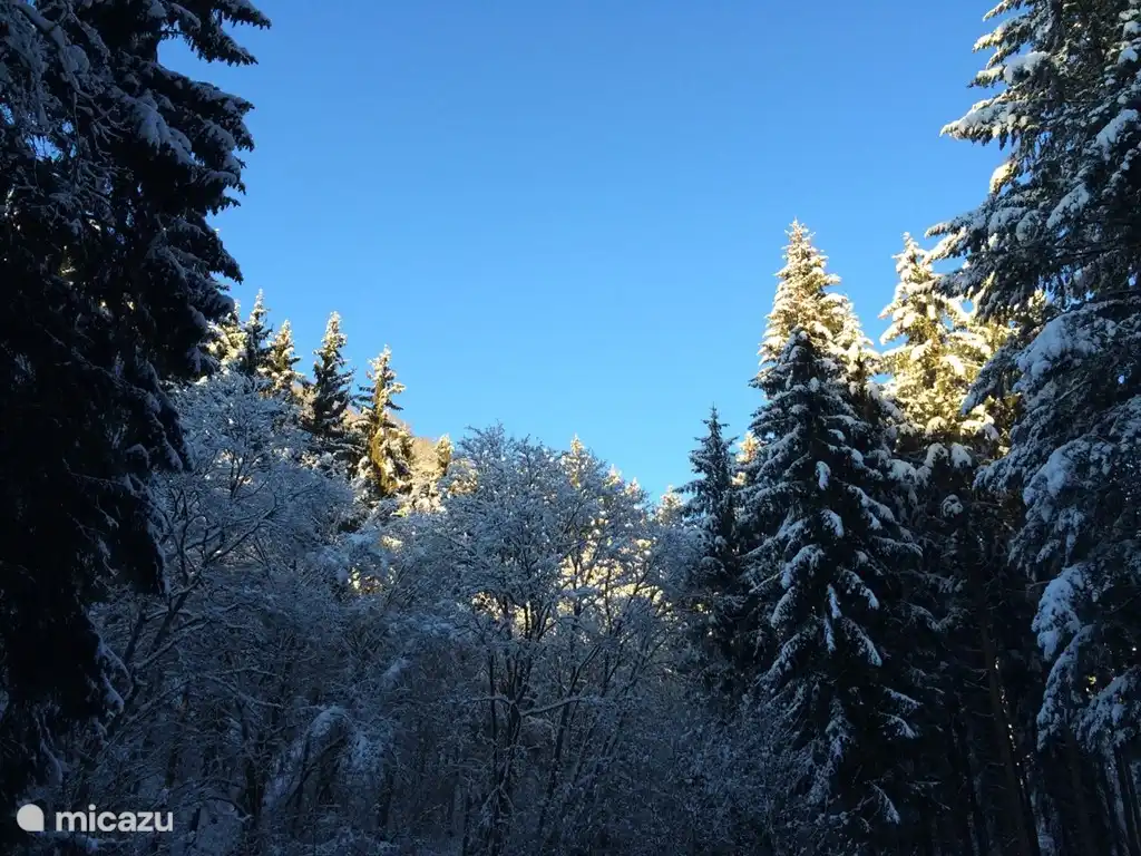 Manderscheid en invierno