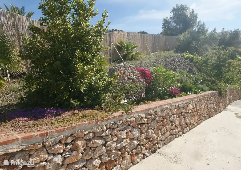 Parcela vallada con muchas plantas y árboles tropicales.