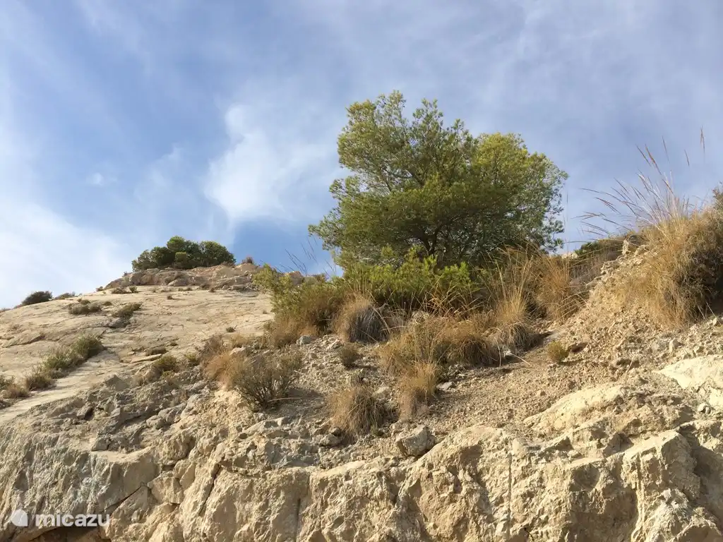 Naturaleza en Marruecos