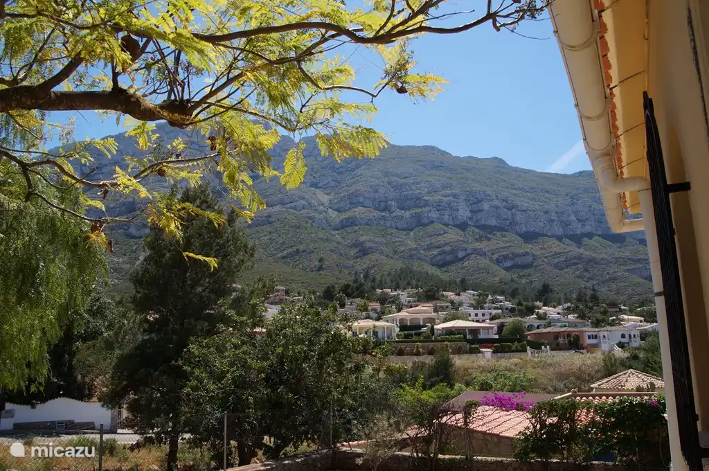 View back of the house, on the Montgo, which is climbing. And the view from the hammock.