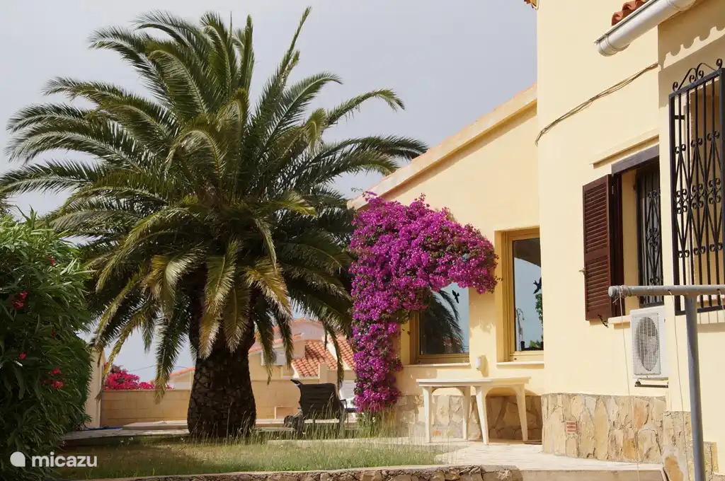 back home and pool view