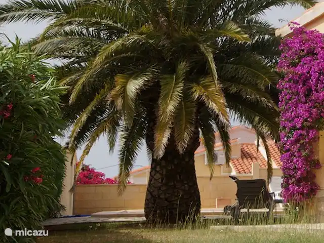 Villa Dénia | Espagne, Costa Blanca, Dénia - villa arrière de la maison et vue sur la piscine