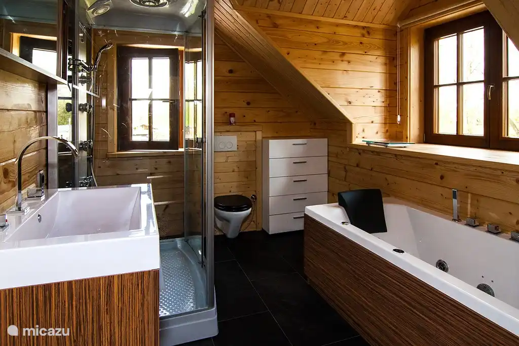 Badkamer met jacuzzi, regendouche met rug stralen, radio etc.. toilet.