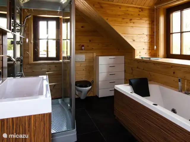 Villa en bois Dirk | Pays-Bas, Overijssel, Den Ham - maison de vacances Salle de bain avec jacuzzi, douche pluie avec jets dorsaux, radio etc. WC.