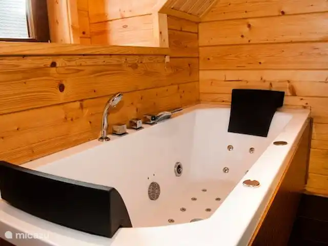 Villa en bois Dirk | Pays-Bas, Overijssel, Den Ham - maison de vacances Jacuzzi