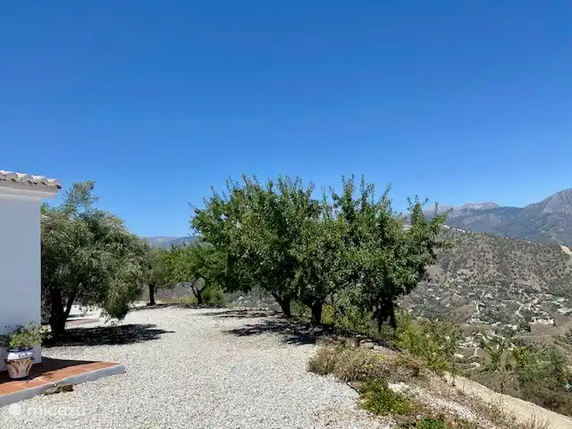 Los Pajaros | Espagne, Costa del Sol, Torrox - maison de vacances Regardez les amandiers, juste au bord du plateau sur lequel se dresse Los Pájaros = direction Cómpeta