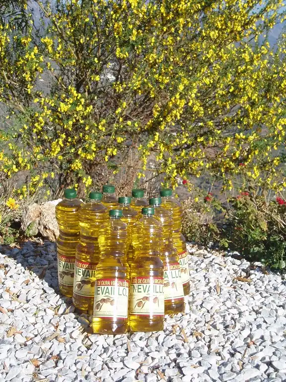 Propre huile d'olive de pays