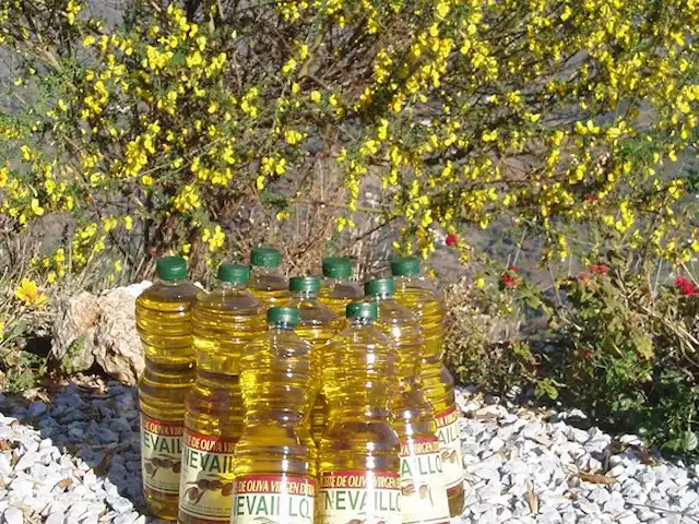 Los Pajaros | Espagne, Costa del Sol, Torrox - maison de vacances Propre huile d'olive de pays