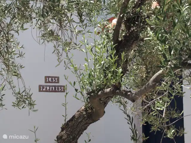 Los Pajaros | Espagne, Costa del Sol, Torrox - maison de vacances Nom à l'entrée
