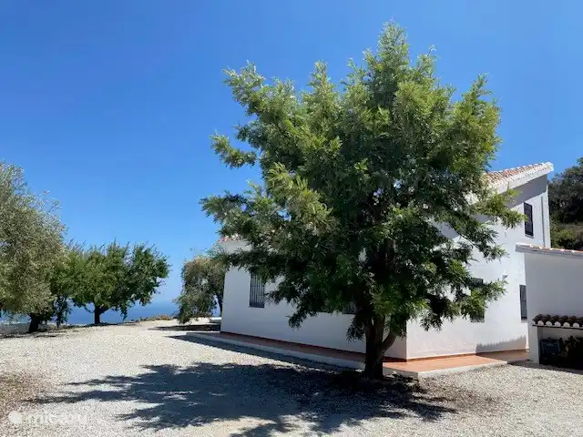 Los Pajaros | Espagne, Costa del Sol, Torrox - maison de vacances Chêne argenté australien sur le côté des chambres du bas