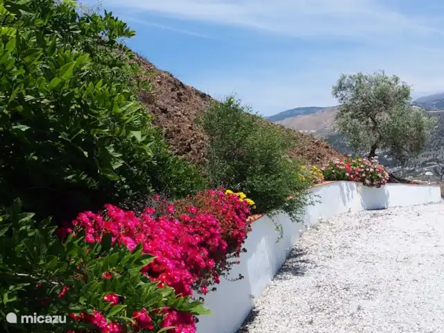 Los Pajaros | Espagne, Costa del Sol, Torrox - maison de vacances Splendeur florale derrière la maison