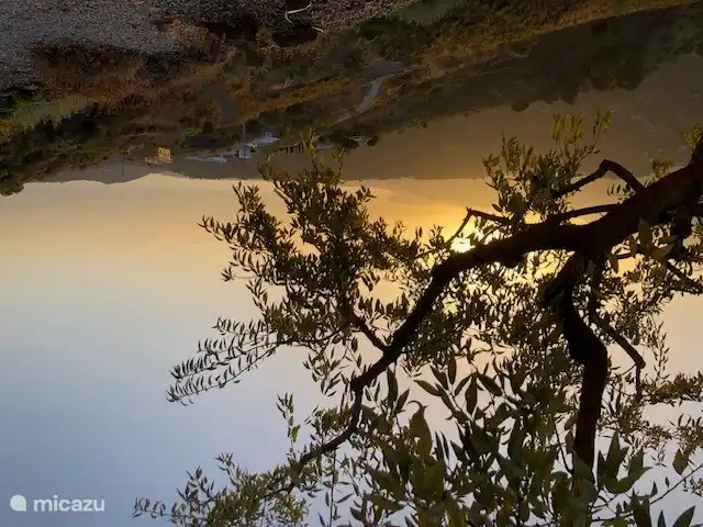 Lever de soleil vu du bord du plateau où se dresse la maison, près des amandiers