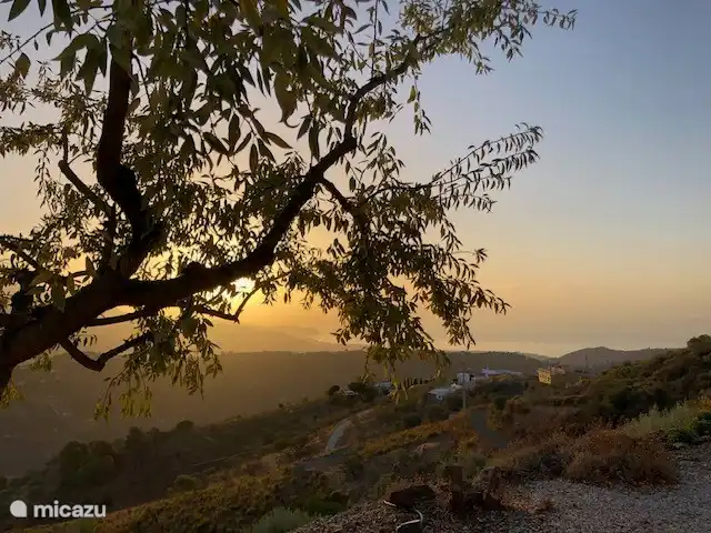Los Pajaros | Espagne, Costa del Sol, Torrox - maison de vacances Lever de soleil vu du bord du plateau où se dresse la maison, près des amandiers