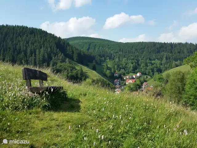 AltesRathaus Wildemann | Allemagne, Basse-Saxe, Wildemann - maison de vacances Quartier Wildmann