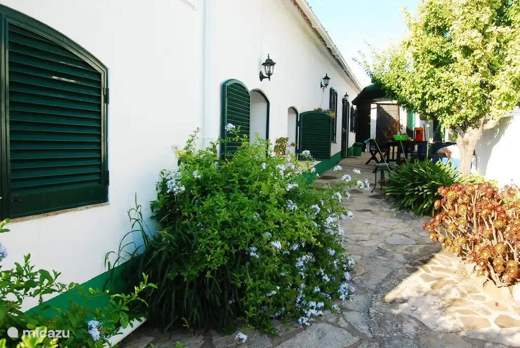 Courtyard(Patio) and Casa Verde