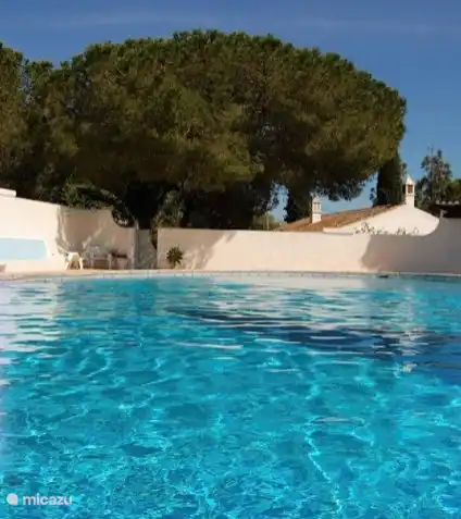 Piscine, avec casa rosa en arrière-plan.