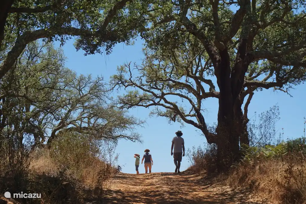 beaux sentiers de randonnée autour de la Quinta