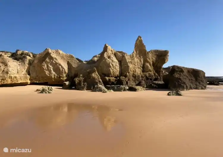 Praia da Gale à distance de marche.