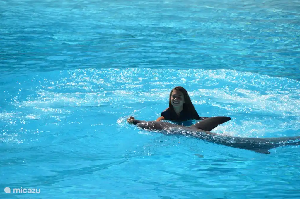 Le parc d'attractions Zoomarine où vous pourrez nager avec les dauphins n'est qu'à 5 minutes en voiture de Casa Rosa !