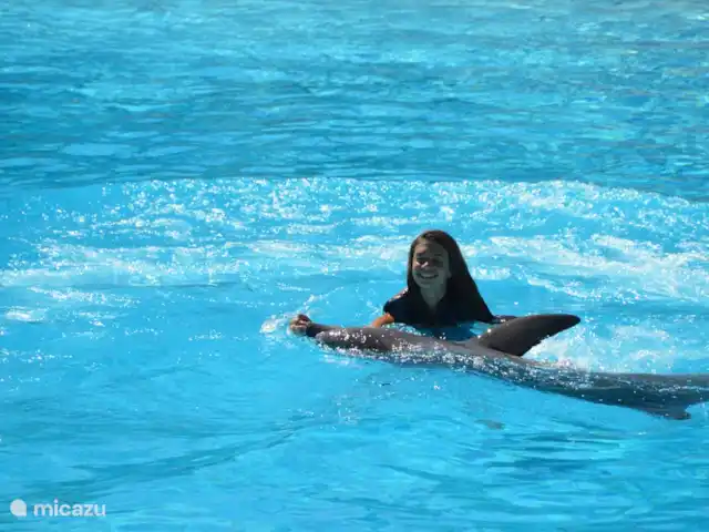 Quinta da Felicidade, Casa Rosa | Portugal, Algarve, Albufeira - maison de vacances Le parc d'attractions Zoomarine où vous pourrez nager avec les dauphins n'est qu'à 5 minutes en voiture de Casa Rosa !
