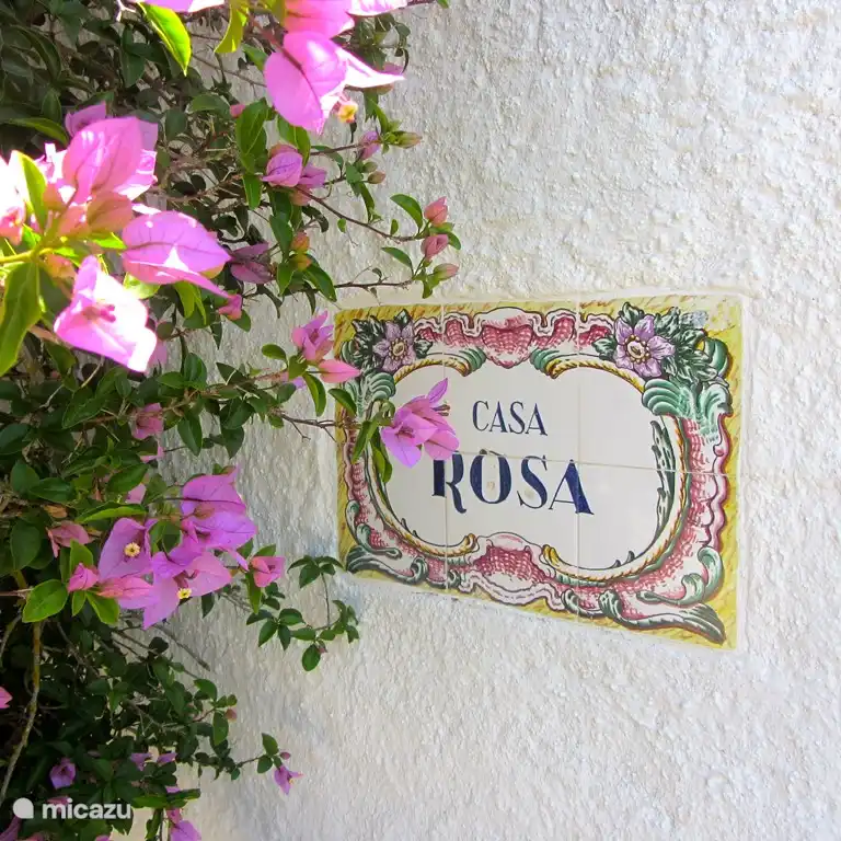 Tuiles portugaises et bougainvilla