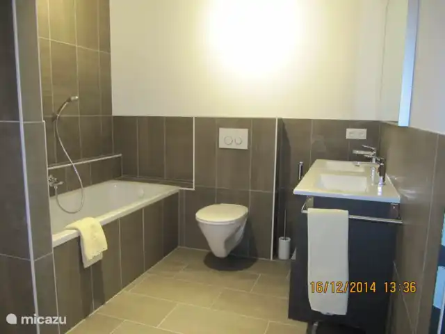Aineckblick TOP 14 | Autriche, Salzburgerland, Sankt Margarethen im Lungau - appartement Salle de bain avec douche à l'italienne, 2ème WC et baignoire.