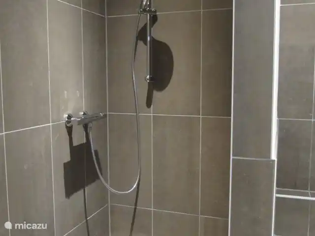 Aineckblick TOP 14 | Autriche, Salzburgerland, Sankt Margarethen im Lungau - appartement La douche à l'italienne..