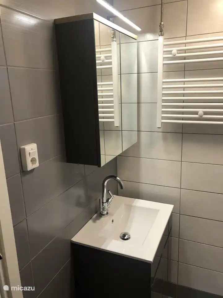 erneuerter Duschschrank und Spiegelschrank mit zusätzlicher Beleuchtung