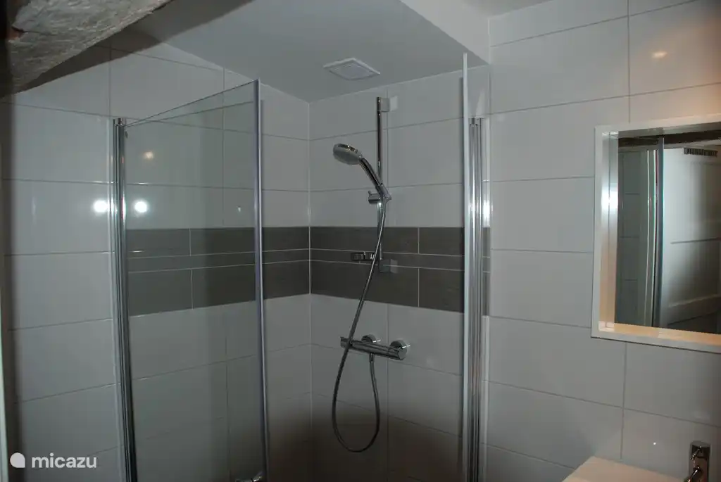Fijne douche met goede straal en douchedeuren.