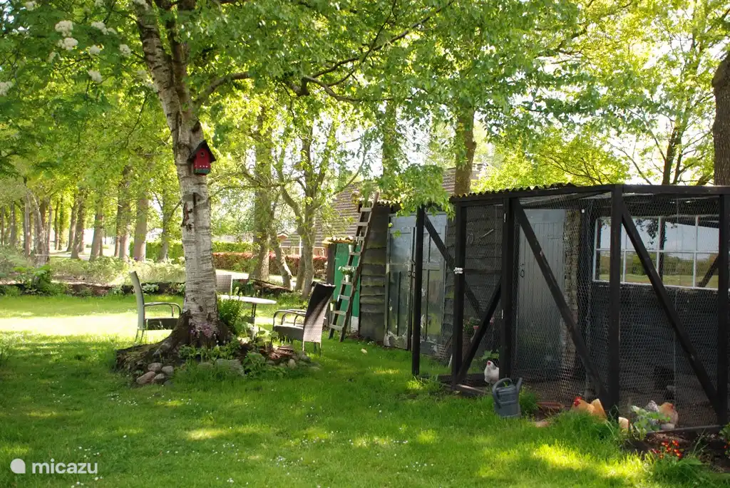 Uitzicht vanaf woonkamer op privetuin, met tuinset, fietsberging en kippenverblijf.