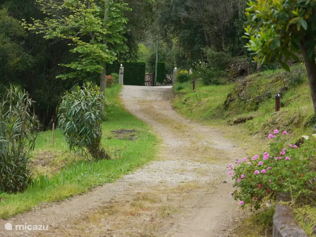 The driveway of Villa Arbousier