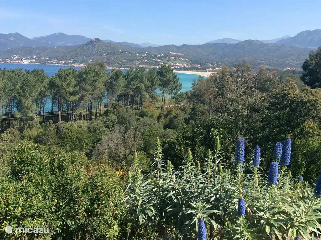 View of the bay from the garden