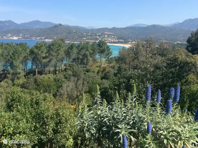 casa vacacional en Francia, Córcega, Calcatoggio – Villa Arbousier Calcatoggio Vista sobre la bahía desde el jardín.