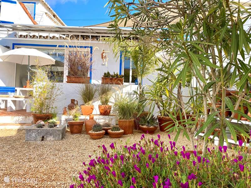 Holiday home in Portugal, Algarve, The Santa Barbara Nexe Holiday house Casa da Aldeia / vila Verão