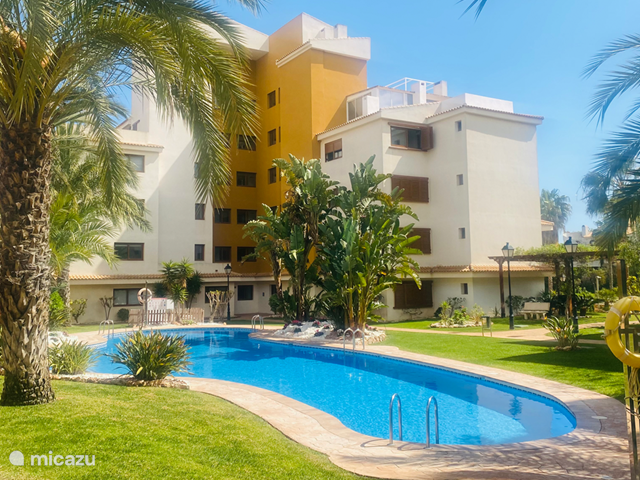 Holiday home in Spain, Costa Blanca, Torrevieja - apartment Costa Punta Prima