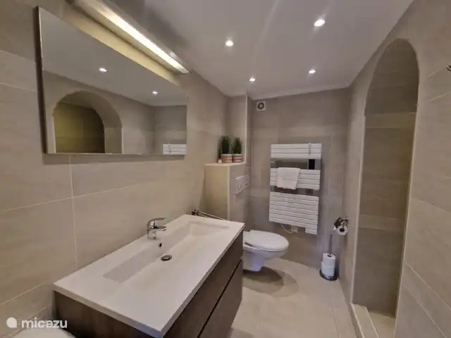 Hameau des Claudins n°16 La Mourre | France, Côte d'Azur, Le Plan-de-la-Tour - maison de vacances Salle de bain complète avec douche, lavabo et toilettes