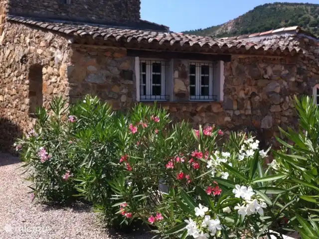 Hameau des Claudins n°1 Saint-Martin | France, Côte d'Azur, Le Plan-de-la-Tour - maison de vacances Hameau des Claudins n°1 Saint-Martin | France, Côte d'Azur, Le Plan-de-la-Tour - maison de vacances
