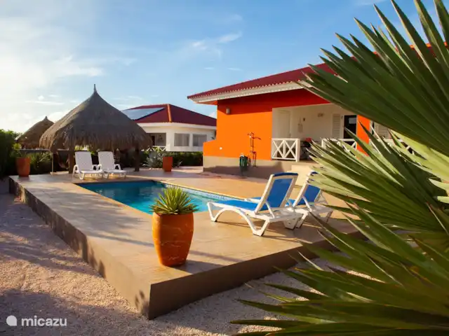 Casa Kontentu en Curazao, Bandabou (oeste), Fontein - casa vacacional Las palmeras junto a la piscina. Además de que estas plantas naturales de Curazao son muy hermosas, también brindan privacidad en la piscina.
