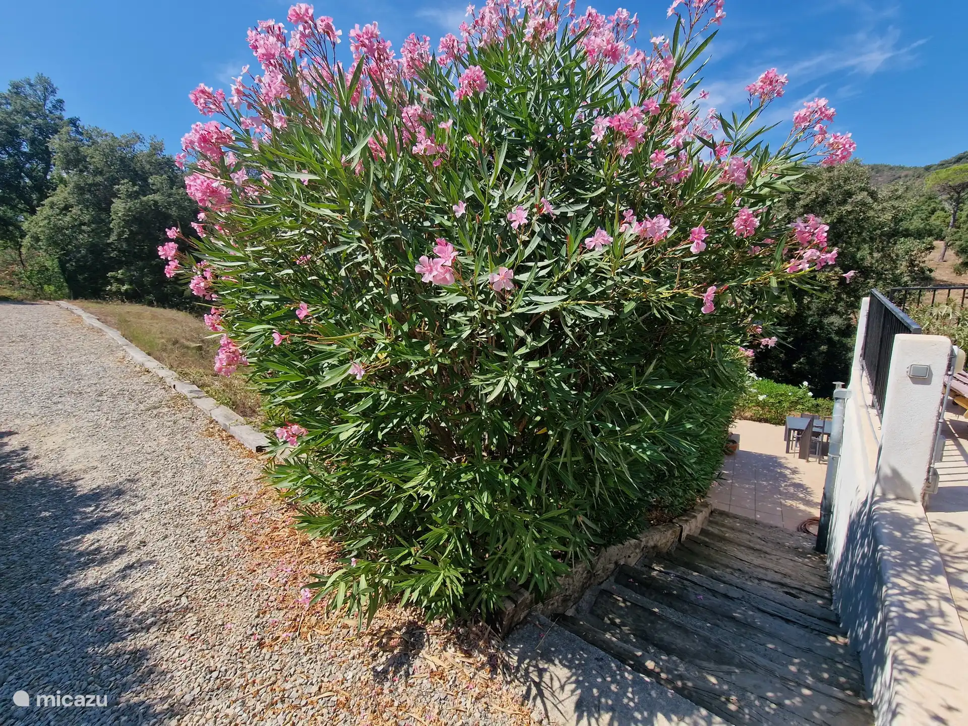 Stairs to large private terrace at garden house