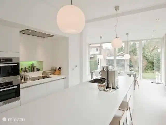 Anna huren in Nederland, Gelderland, Apeldoorn - villa keuken met (stoom)oven, combi-magnetron, vaatwasser etc.