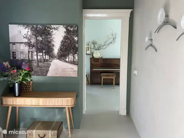 Anna huren in Nederland, Gelderland, Apeldoorn - villa