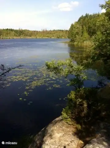 The lake where you can swim (in the summer), fishing and rowing in the boat.