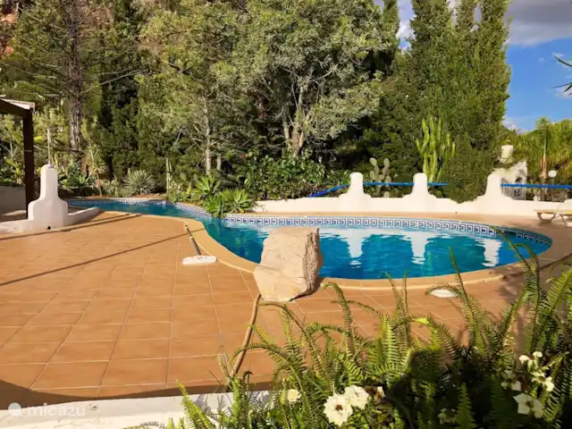 Villa Malibu | Portugal, Algarve, Albufeira - villa Villa Malibu