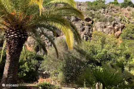 Vakantiehuis Portugal, Algarve, Albufeira villa Villa Malibu
