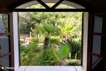 Vakantiehuis Portugal, Algarve, Albufeira villa Villa Malibu